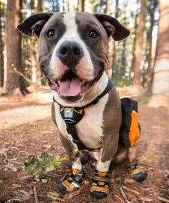 KURGO STEP-N-STROBE DOG BOOTS Three Blue Dogs