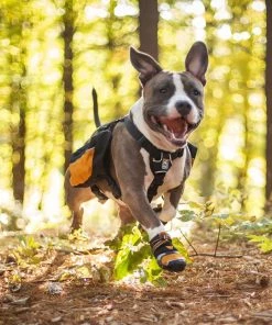 KURGO STEP-N-STROBE DOG BOOTS Three Blue Dogs
