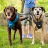 Three Blue Dogs KURGO WANDER DOUBLE DOG LEASH EXTENDER