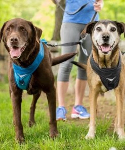 Three Blue Dogs KURGO WANDER DOUBLE DOG LEASH EXTENDER