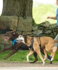 Three Blue Dogs KURGO WANDER DOUBLE DOG LEASH EXTENDER