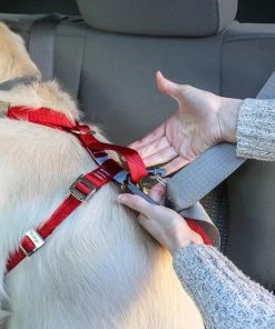 Three Blue Dogs KURGO ENHANCED STRENGTH TRU-FIT DOG CAR HARNESS