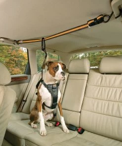 KURGO AUTO ZIP LINE FOR DOGS Three Blue Dogs