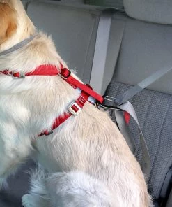 Three Blue Dogs KURGO ENHANCED STRENGTH TRU-FIT DOG CAR HARNESS