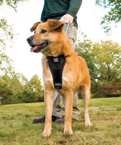 KURGO TRU-FIT SMART DOG WALKING HARNESS