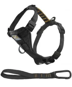 Three Blue Dogs KURGO NEW DOG PACKAGE