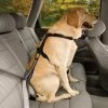 KURGO DOG SEAT BELT LOOP Three Blue Dogs