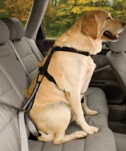 KURGO DOG SEAT BELT LOOP Three Blue Dogs