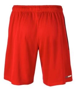 Team Sports MIZUNO ELITE MESH WORKOUT SHORTS