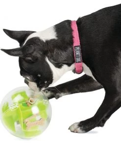 Three Blue Dogs Planet Dog Mazee