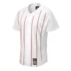 Mizuno PRO PINSTRIPE JERSEY