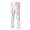 Mizuno PRO PINSTRIPE PANT Team Sports