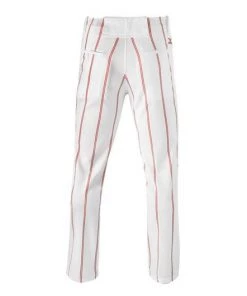 Mizuno PRO PINSTRIPE PANT Team Sports