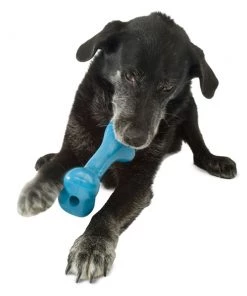 Planet Dog Three Blue Dogs Old Soul Ball Old Soul Bone