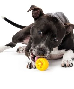 Three Blue Dogs Planet Dog Orbee-Tuff Nooks