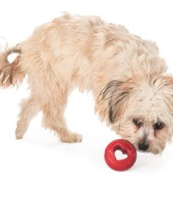 Three Blue Dogs Planet Dog Orbee-Tuff Nooks