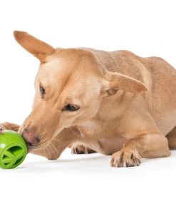 Three Blue Dogs Planet Dog Orbee-Tuff Nooks