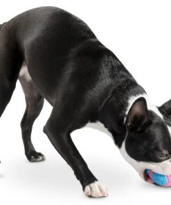 Three Blue Dogs Planet Dog Orbee Ball