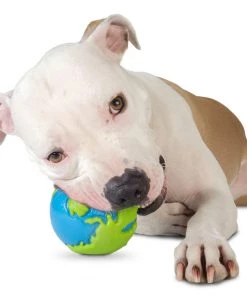 Three Blue Dogs Planet Dog Orbee Ball