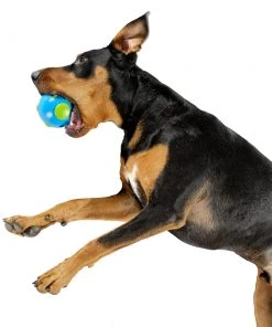 Three Blue Dogs Planet Dog Orbee Ball