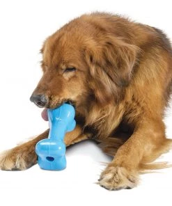 Planet Dog Orbee Bone