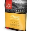 Orijen Puppy Dry Dog Food