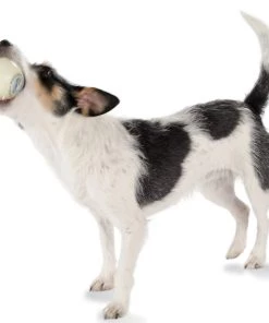 Three Blue Dogs Planet Dog Glow For Good Ball