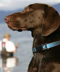 KURGO REFLECTIVE WANDER DOG COLLAR