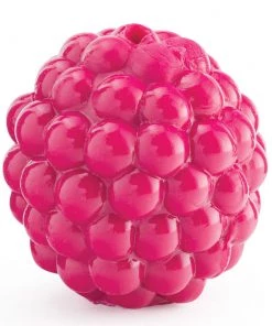 Planet Dog Raspberry