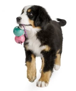 Planet Dog Recycle Ball Value Pack