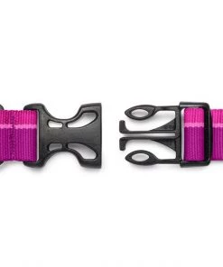 Three Blue Dogs Ruffwear Hoopie™ Collar