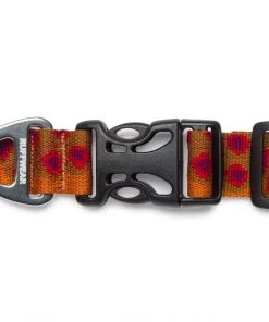 Three Blue Dogs Ruffwear Hoopie™ Collar