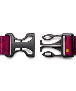 Three Blue Dogs Ruffwear Hoopie™ Collar