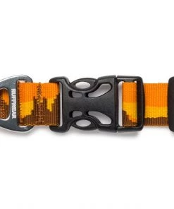 Three Blue Dogs Ruffwear Hoopie™ Collar