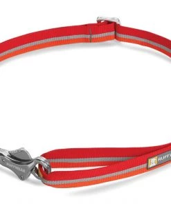 Ruffwear Patroller™ Leash Three Blue Dogs