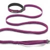 Three Blue Dogs Ruffwear Roamer™ Leash