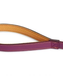 Ruffwear Timberline™ Leash Three Blue Dogs