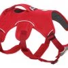 Ruffwear Web Master™ Harness Three Blue Dogs