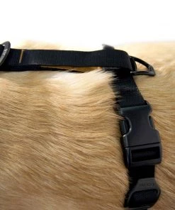 KURGO TRU-FIT SMART DOG WALKING HARNESS