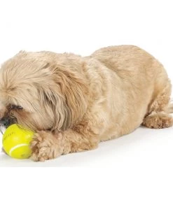 Planet Dog Tennis Ball