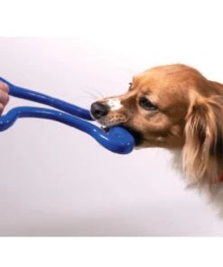 Three Blue Dogs Planet Dog Tug