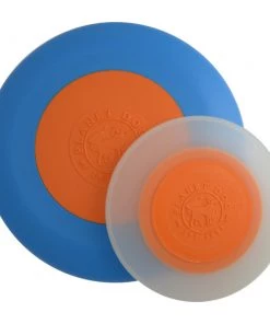 Planet Dog Zoom Flyer