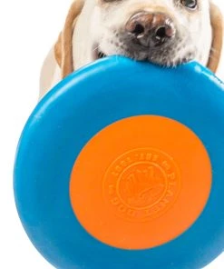 Planet Dog Zoom Flyer 9 Planet Dog Zoom Flyer