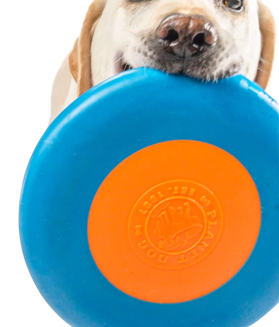 Planet Dog Zoom Flyer 4 Planet Dog Zoom Flyer