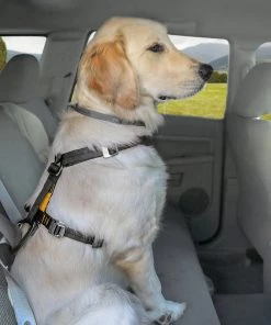 Three Blue Dogs KURGO ENHANCED STRENGTH TRU-FIT DOG CAR HARNESS REPLACEMENT TETHER