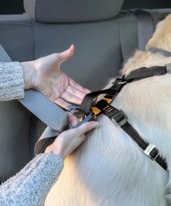 Three Blue Dogs KURGO ENHANCED STRENGTH TRU-FIT DOG CAR HARNESS REPLACEMENT TETHER