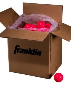FRANKLIN PICKLEBALLS - X-40 OUTDOOR - 100 PACK Individual Sports